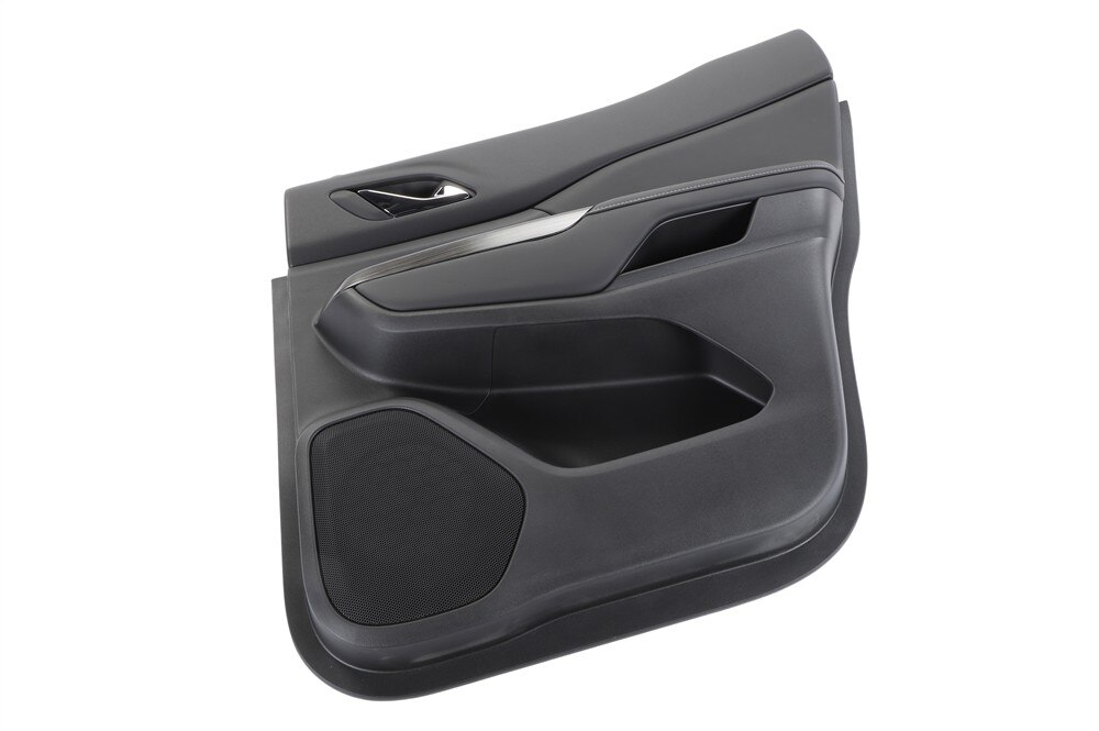 GM Genuine Parts Black Rear Passenger Side Door Trim