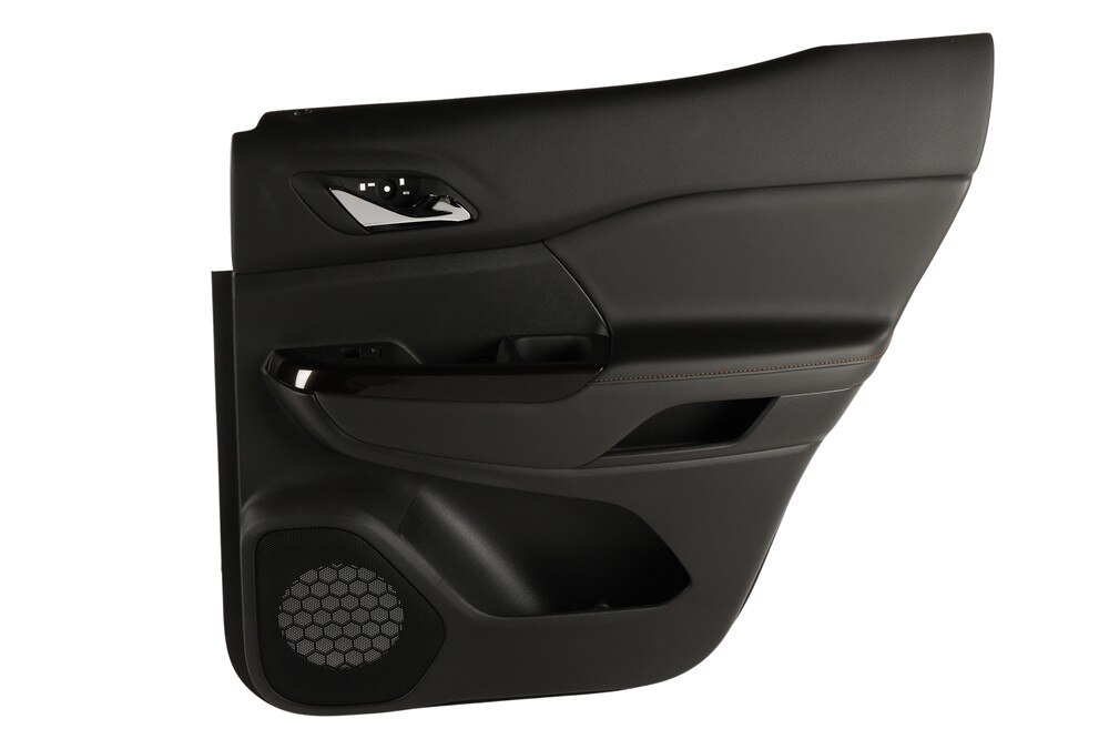 GM Genuine Parts Black Rear Passenger Side Door Trim