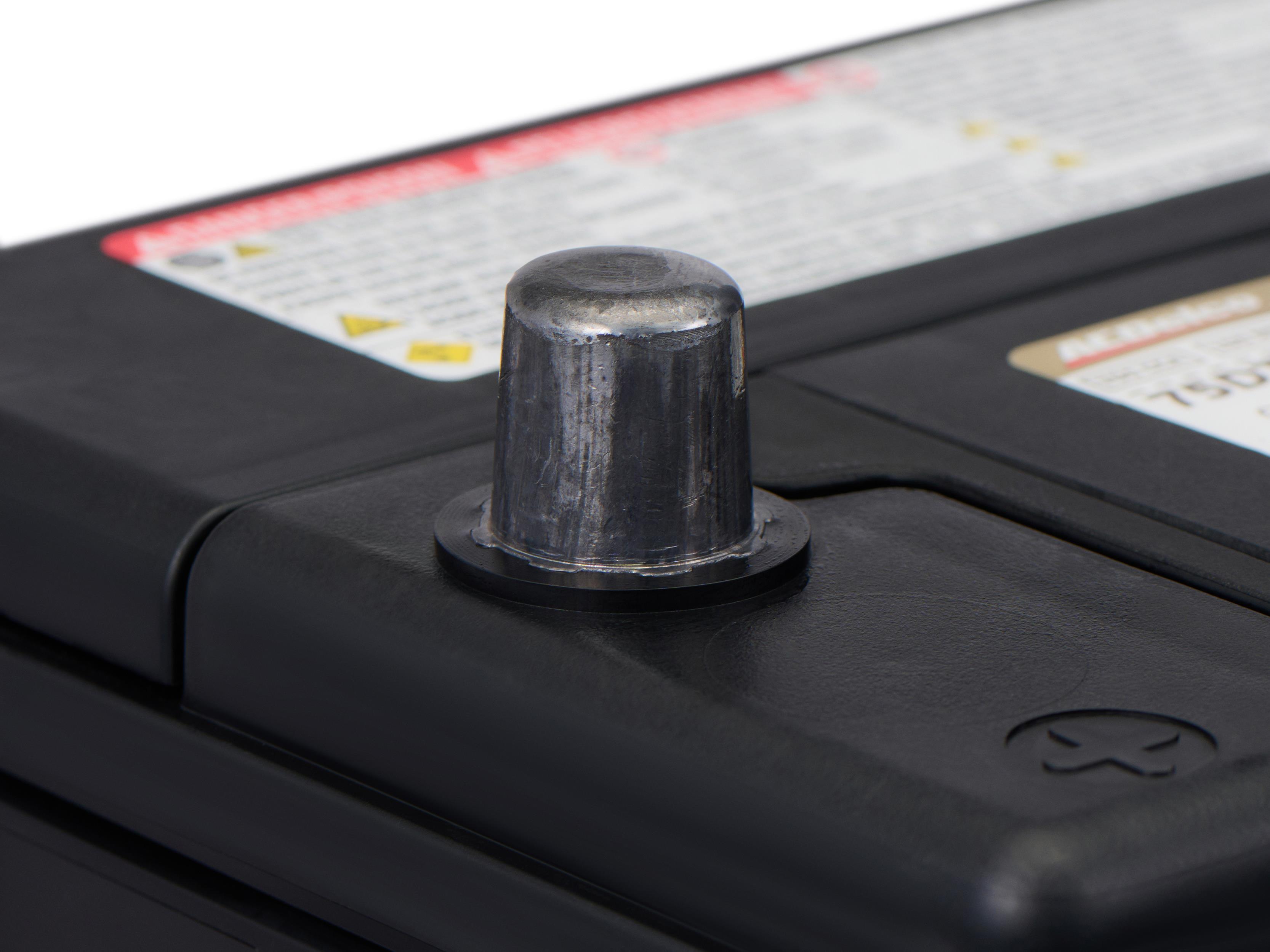 Cadillac ACDelco Gold 42 Month Warranty Dual Terminal BCI Group 75