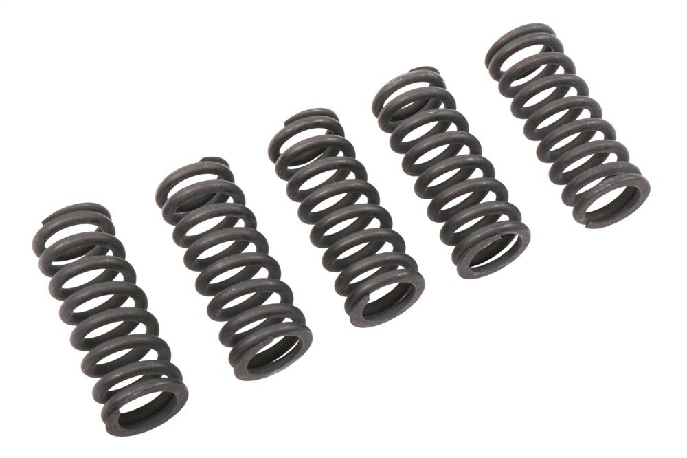 GM Genuine Parts Side Door Hinge Spring