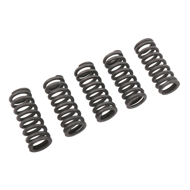 GM Genuine Parts Side Door Hinge Spring