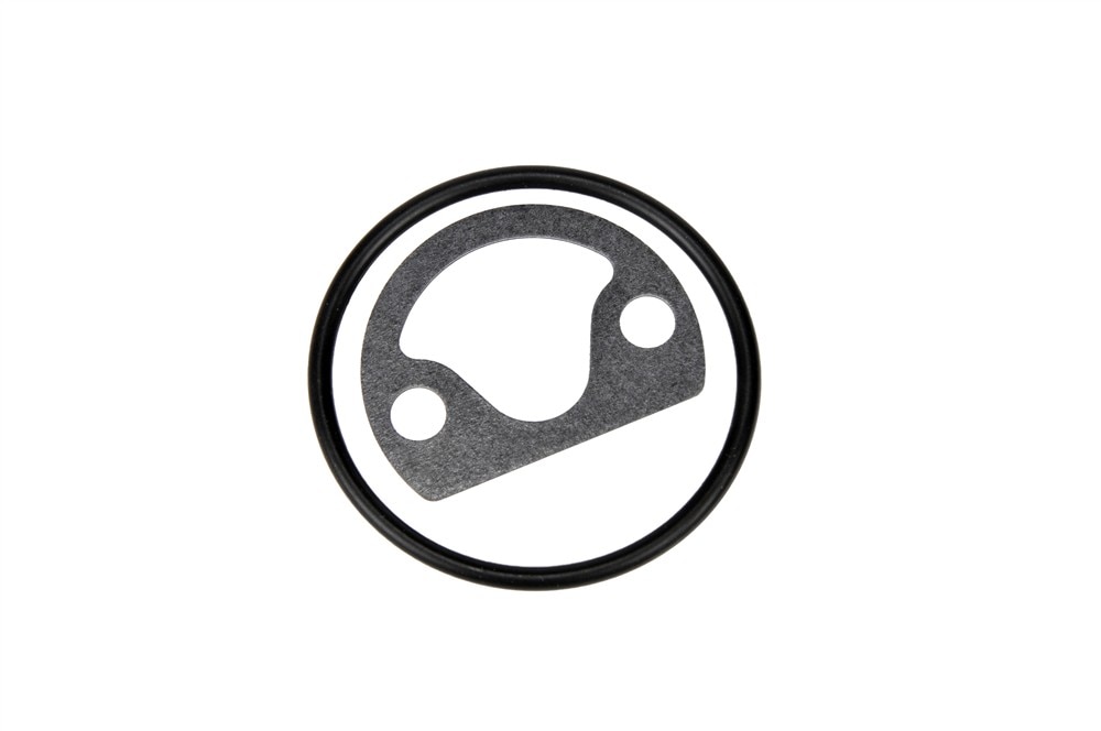 GM Genuine Parts Oil Filter Adapter Gasket