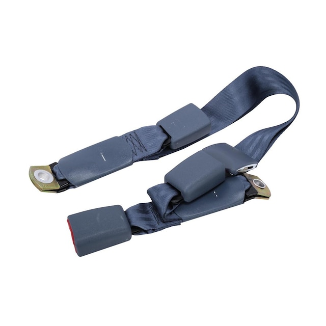 GM Genuine Parts Rear Seat Center Belt