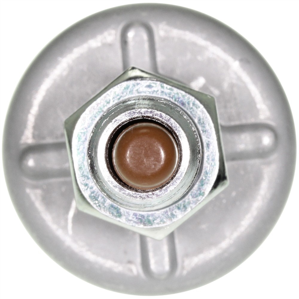 Alternate Image