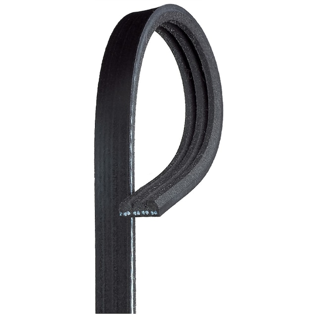 ACDelco Gold Standard V-Ribbed Serpentine Belt
