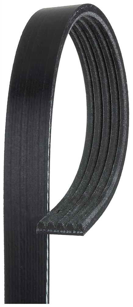 ACDelco Gold Standard V-Ribbed Serpentine Belt