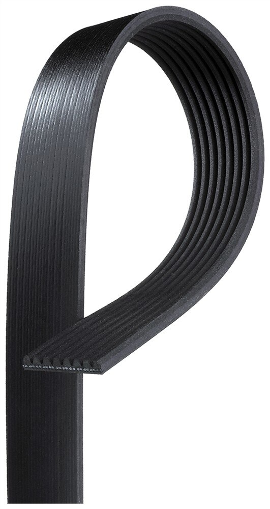 ACDelco Gold Standard V-Ribbed Serpentine Belt