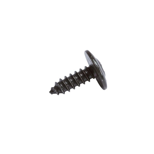 GM Genuine Parts M4.2x1.41x13 Rear Seat Riser Finish Cover Bolt