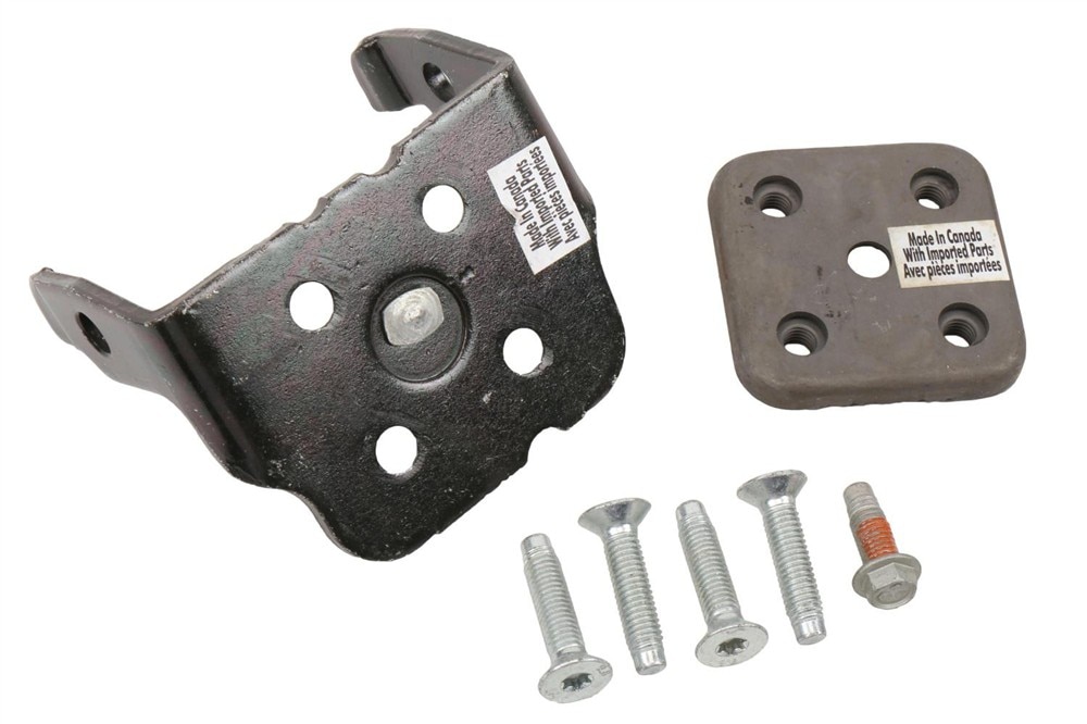 GM Genuine Parts Driver Side Rear Door Lower Hinge with Reinforcements and Bolts