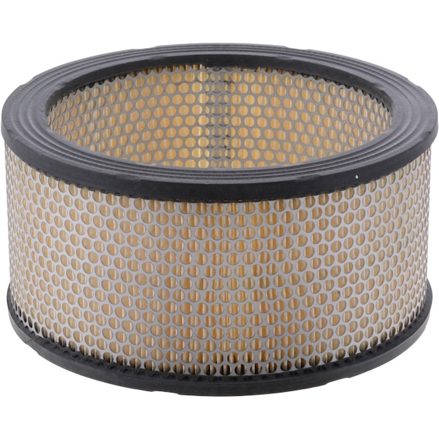 ACDelco Professional Air Filter