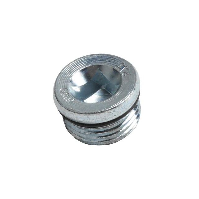 GM Genuine Parts Transmission Oil Plug