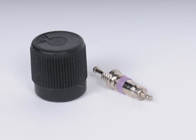 GM Genuine Parts Fuel Injection Fuel Pressure Service Kit with Valve and Cap