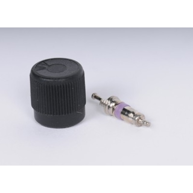 GM Genuine Parts Fuel Injection Fuel Pressure Service Kit with Valve and Cap