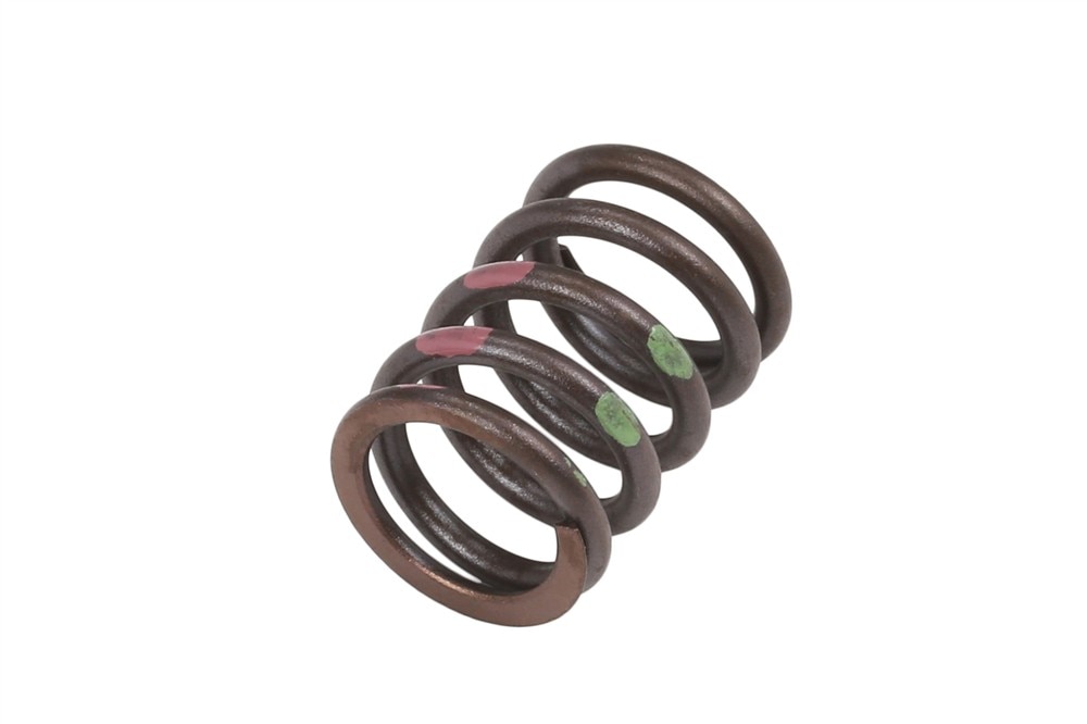 GM Genuine Parts Valve Spring