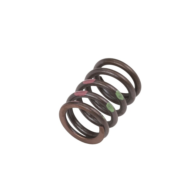 GM Genuine Parts Valve Spring