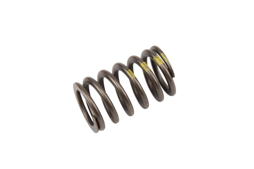 GM Genuine Parts Engine Valve Spring