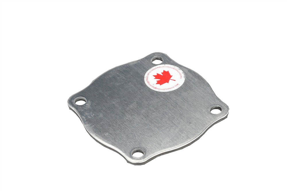 GM Genuine Parts Engine Water Pump Cover