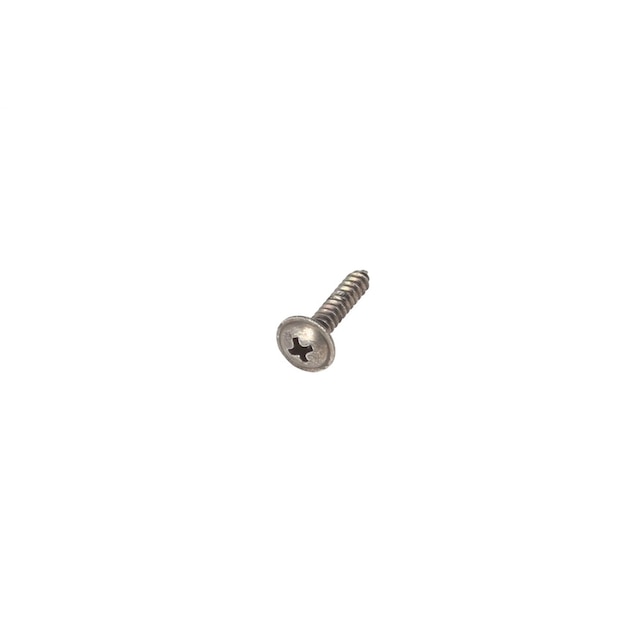 GM Genuine Parts M4.2x22 Multi-Purpose Bolt