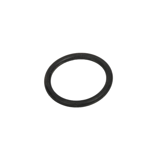 GM Genuine Parts Automatic Transmission Accumulator Piston Seal