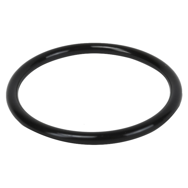 GM Genuine Parts Water Pump O-Ring