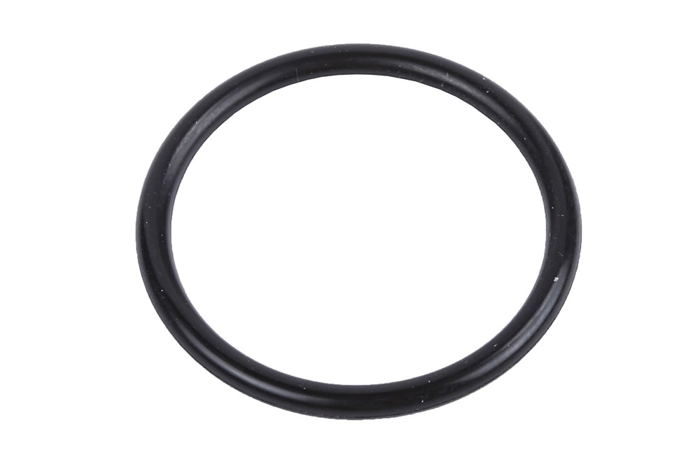 GM Genuine Parts Water Pump Inlet Gasket