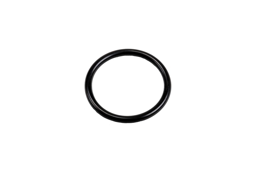 GM Genuine Parts Fuel Injector Seal
