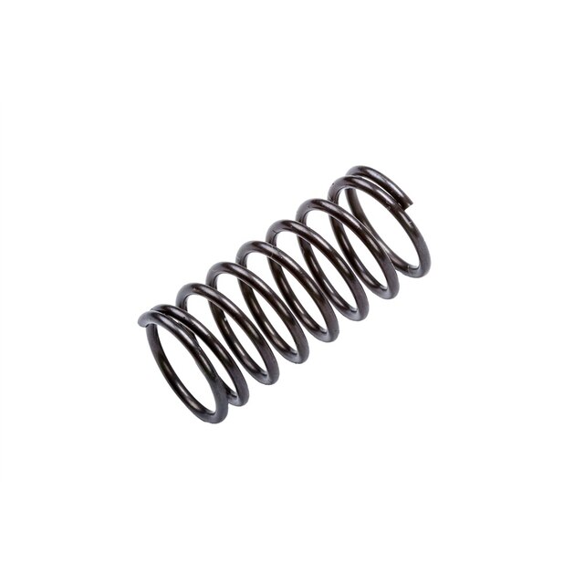 GM Genuine Parts Multi-Purpose Spring