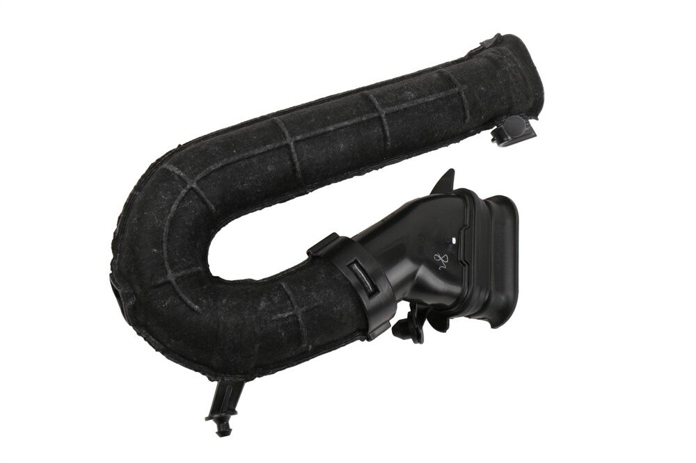Alternate Image