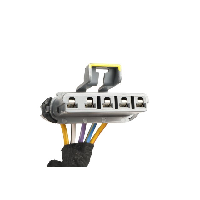 Alternate Image
