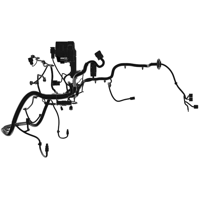 Alternate Image