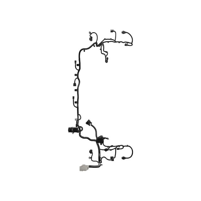 Alternate Image