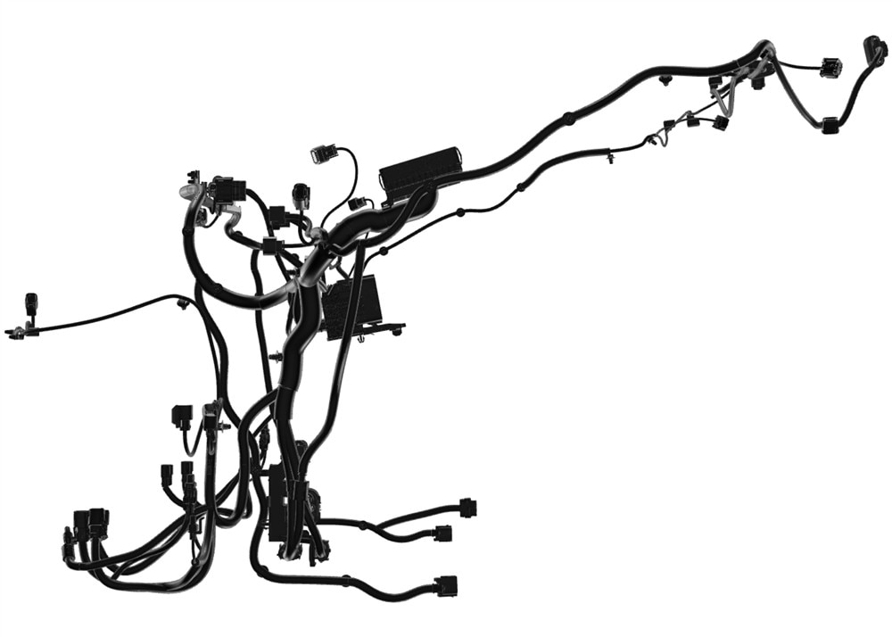 Alternate Image