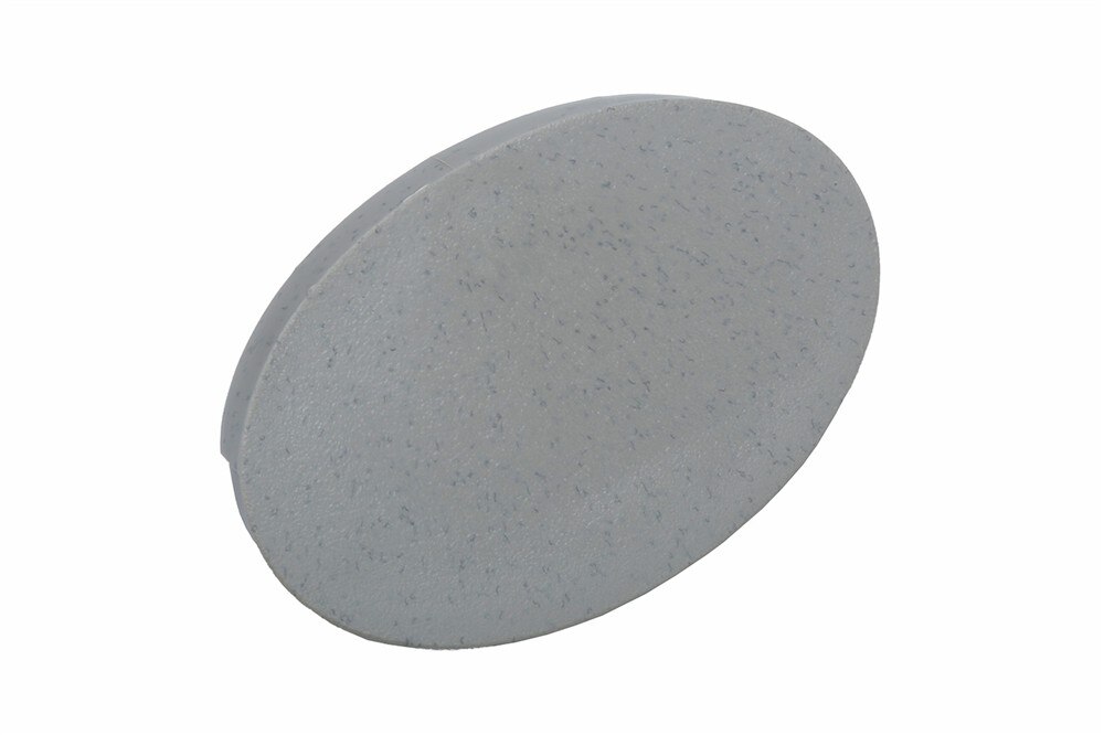GM Genuine Parts Granite Titanium Passenger Side Quarter Window Trim Finish Panel Bolt Cap