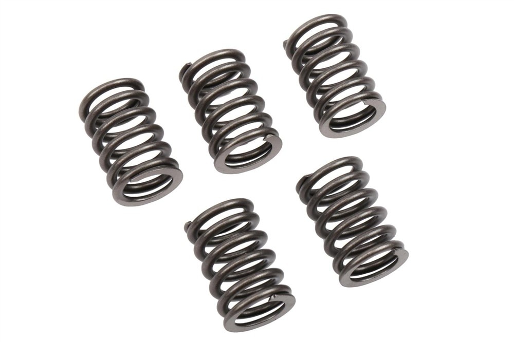 GM Genuine Parts Engine Valve Spring