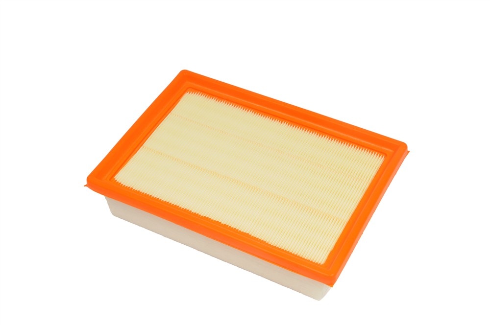 ACDelco Professional Air Filter