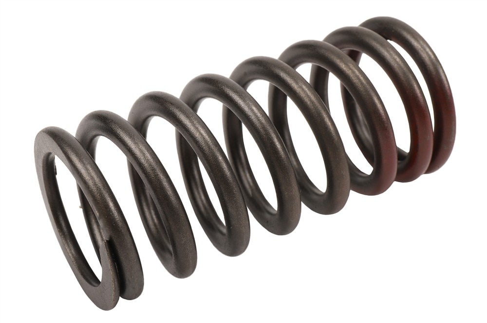 GM Genuine Parts Engine Valve Spring