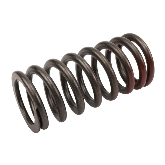 GM Genuine Parts Engine Valve Spring