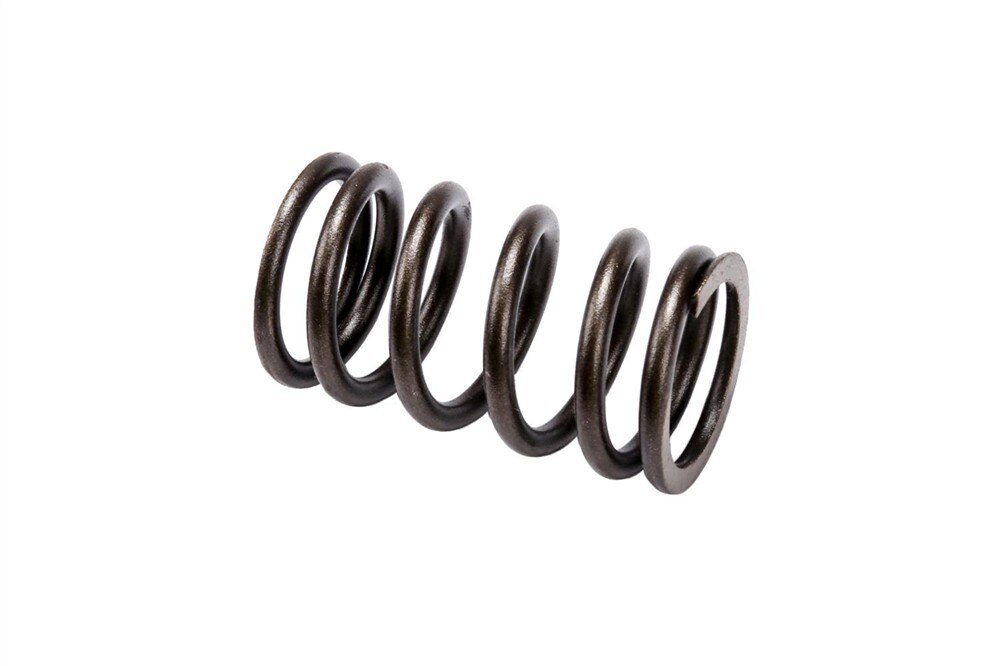 GM Genuine Parts Engine Valve Spring