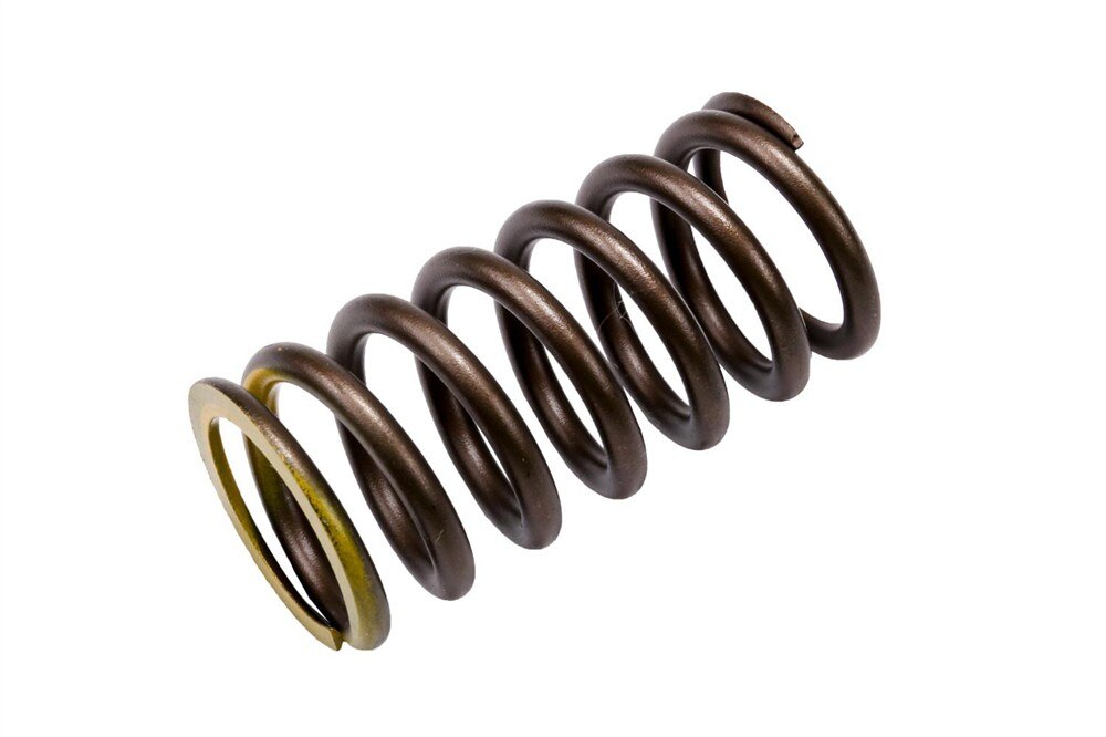 GM Genuine Parts Engine Valve Spring