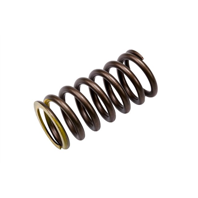 GM Genuine Parts Engine Valve Spring