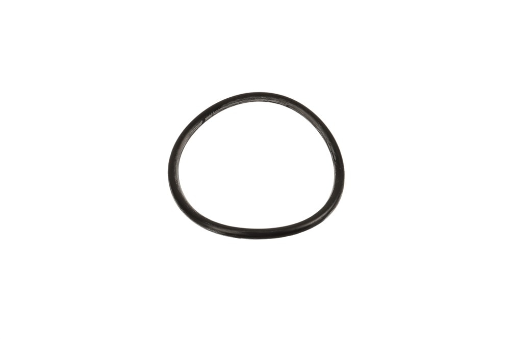 GM Genuine Parts Fuel Pump Seal