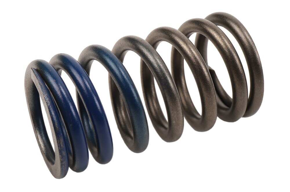 GM Genuine Parts Engine Valve Spring