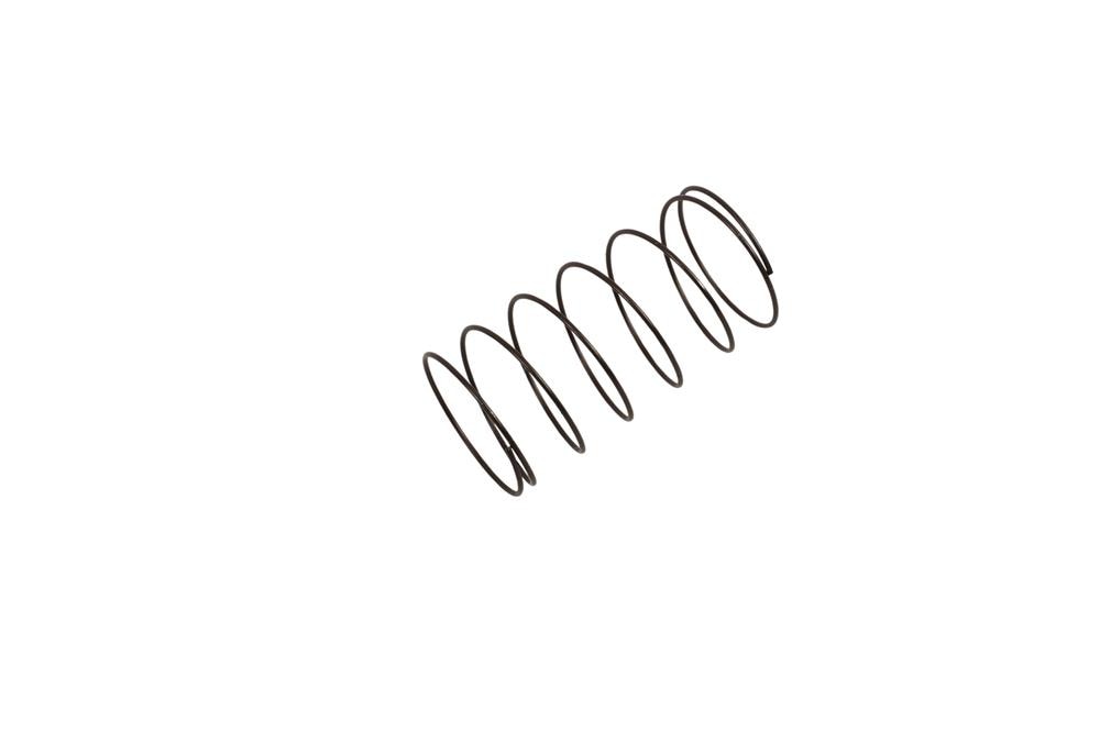 GM Genuine Parts Crankcase Spring