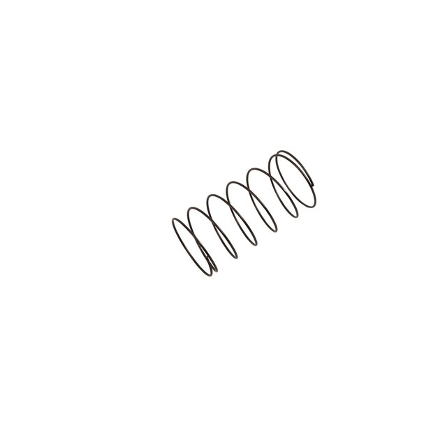 GM Genuine Parts Crankcase Spring