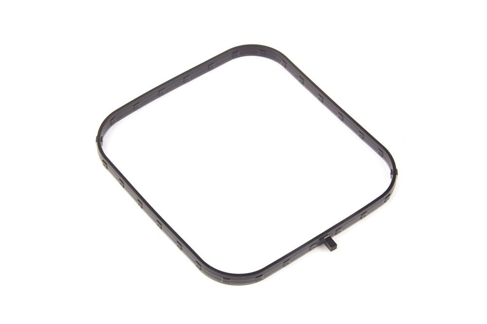 GM Genuine Parts Center Intake Manifold Gasket