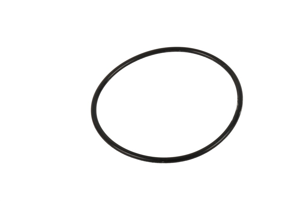 GM Genuine Parts Engine Intake Manifold Seal