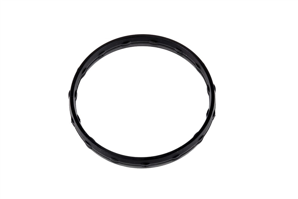 GM Genuine Parts Intake Manifold Gasket