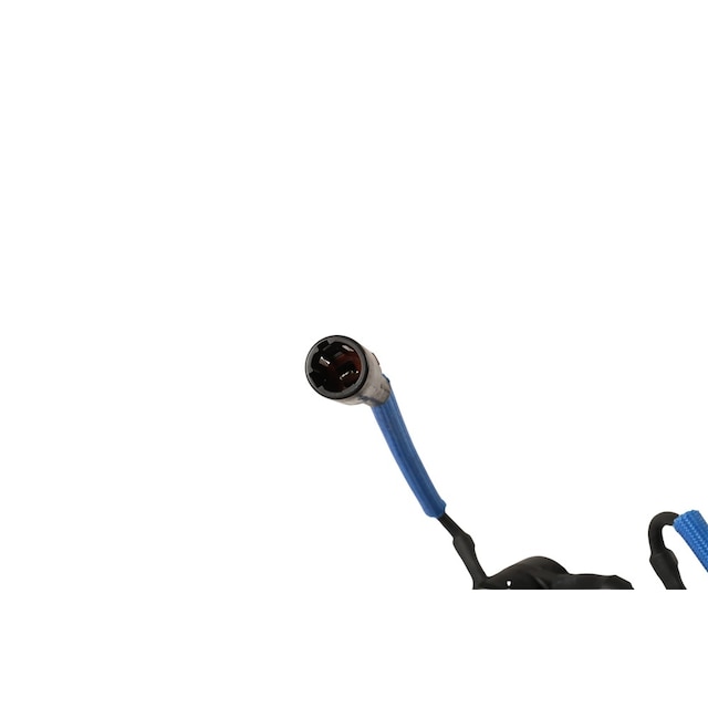 Alternate Image