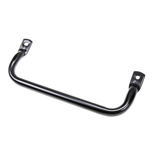 GM Genuine Parts Body Lock Pillar Assist Handle