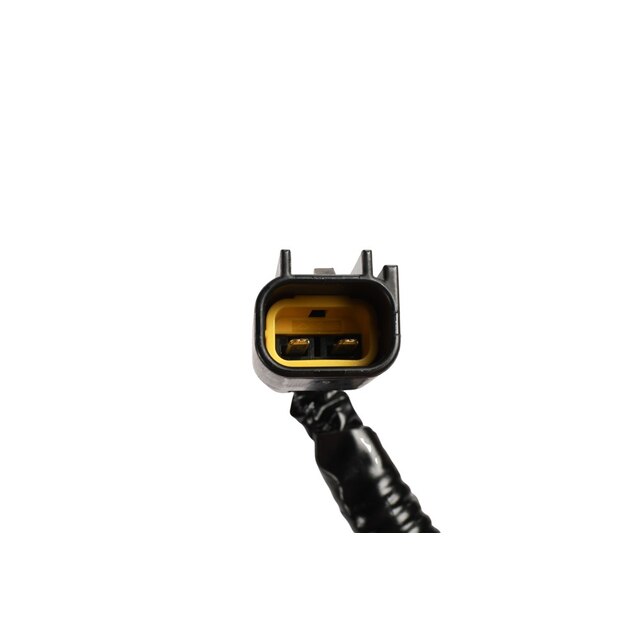 Alternate Image